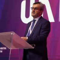 �UIA! Le aprobaron el RIGI a Mart�n Rappallini, el dialoguista jefe de la industria