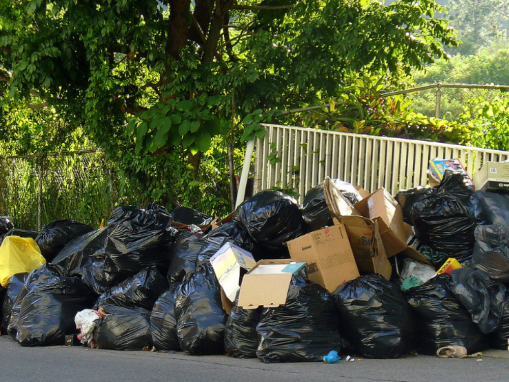 Reducir, reutilizar y reciclar: las estrategias para la sostenibilidad del Planeta retoman vigencia en el D�a Mundial del Reciclaje