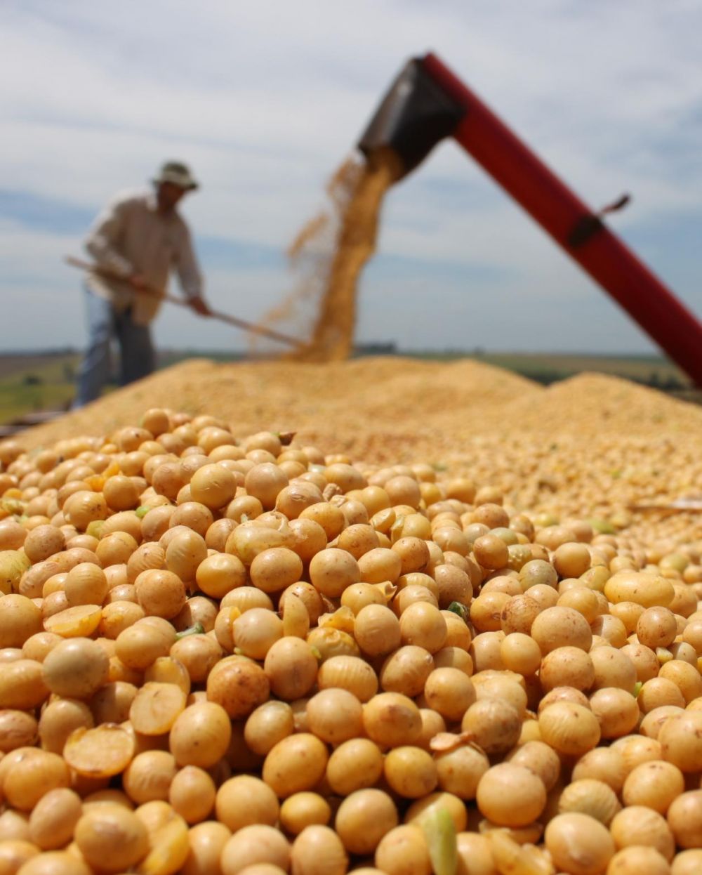 A la espera de un nuevo aluvi�n de divisas del agro, llegan USD 1.000 M del FMI