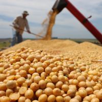 A la espera de un nuevo aluvi�n de divisas del agro, llegan USD 1.000 M del FMI