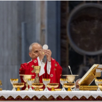 Homil�a del Papa Le�n XIV en la Misa del Domingo de Pentecost�s 2026