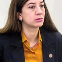 Tierra del Fuego vs. China: la secretaria de Industria habl� de �un panorama cr�tico�