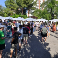 Miles de voluntarios se preparan para la visita de Le�n XIV a Espa�a