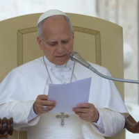 El Papa: una liturgia viva, recurso para despertar la apertura al encuentro con Dios
