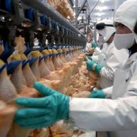 Paritaria av�cola: la FTIA logr� cerrar una actualizaci�n salarial para mayo