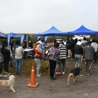 Salta: operativo de saneamiento animal en el Relleno Sanitario San Javier con vacunas y castraciones