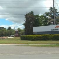 Tras errar en su pron�stico de recuperaci�n de la actividad, Acindar vuelve a paralizar la producci�n y hay incertidumbre por el segundo semestre