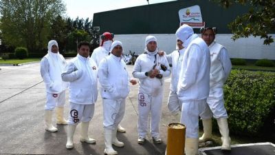 Trabajadores de Granja Tres Arroyos siguen sin cobrar y esperan una definici�n para el futuro de la planta