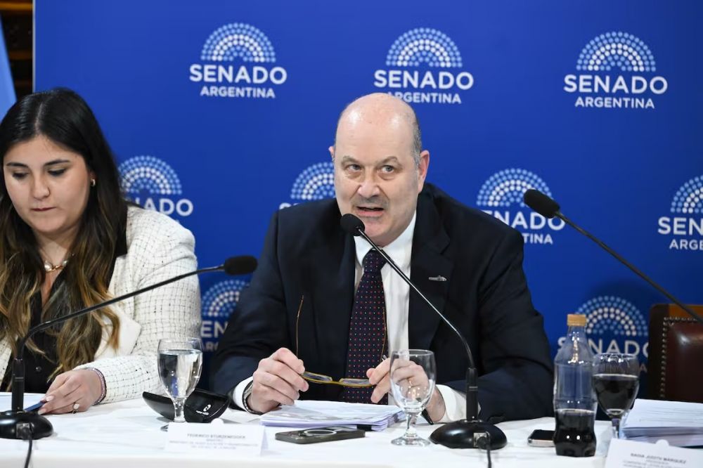 Sturzenegger fue al Senado y defendi� la creaci�n de sociedades no humanas: �No hay motivos para pensar que vayan a ser m�s inseguras�