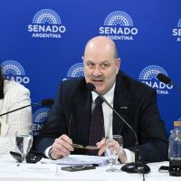 Sturzenegger fue al Senado y defendi� la creaci�n de sociedades no humanas: �No hay motivos para pensar que vayan a ser m�s inseguras�