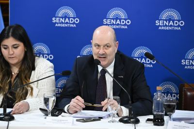 Sturzenegger fue al Senado y defendi� la creaci�n de sociedades no humanas: �No hay motivos para pensar que vayan a ser m�s inseguras�