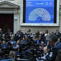 Otra victoria libertaria en Diputados: contuvo a sus habituales aliados y aprob� el Super RIGI