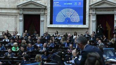 Otra victoria libertaria en Diputados: contuvo a sus habituales aliados y aprob� el Super RIGI
