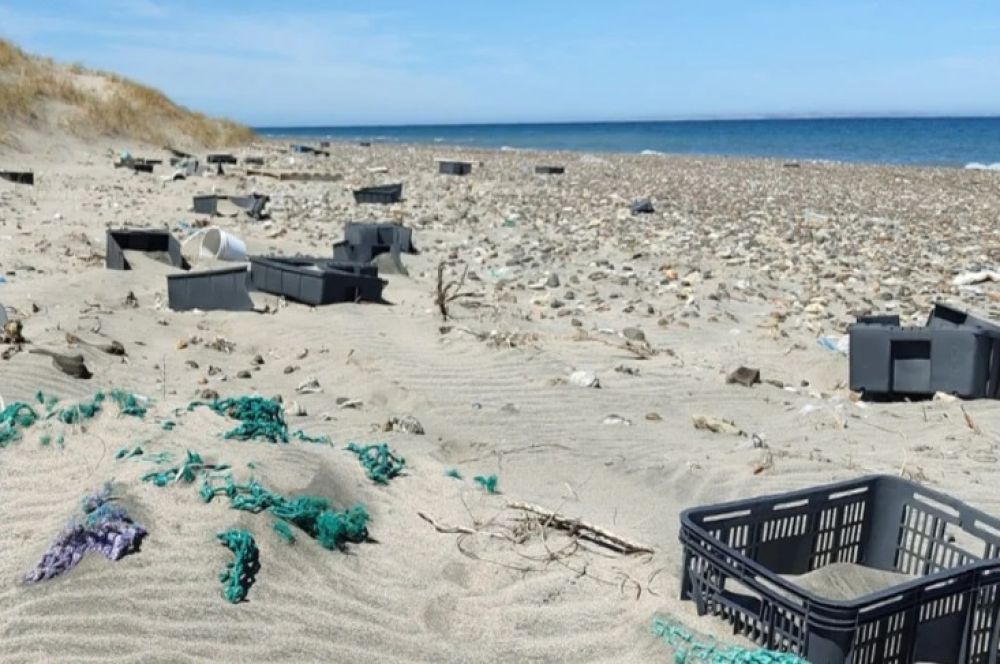 M�s de 10 toneladas de basura en playas de Chubut: el estudio que expone el verdadero origen del pl�stico marino