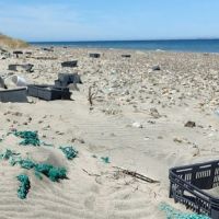 M�s de 10 toneladas de basura en playas de Chubut: el estudio que expone el verdadero origen del pl�stico marino