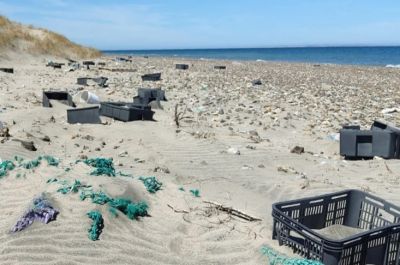 M�s de 10 toneladas de basura en playas de Chubut: el estudio que expone el verdadero origen del pl�stico marino