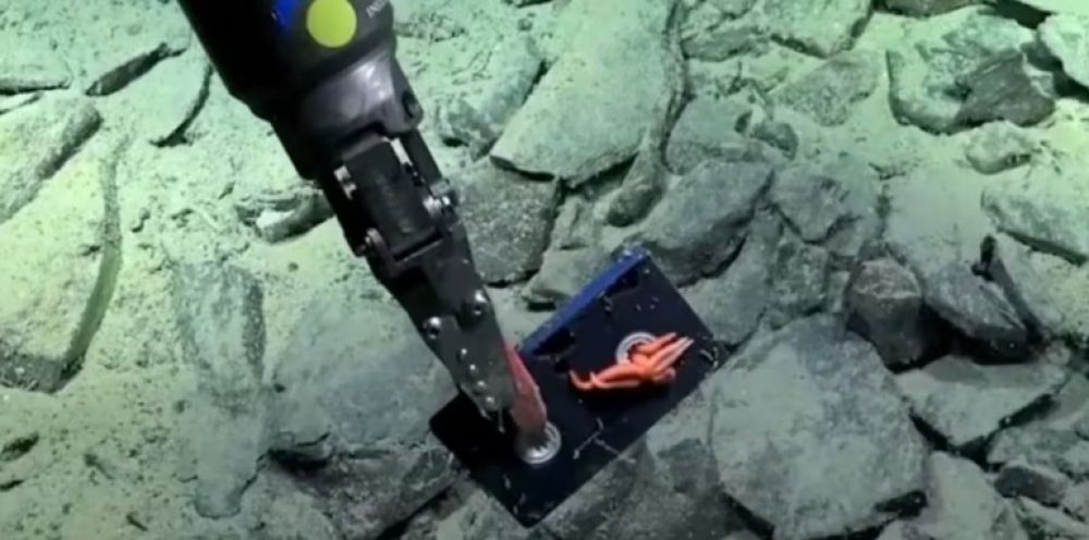 Un robot submarino document� basura humana en el fondo profundo del Mar Argentino por primera vez