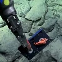 Un robot submarino document� basura humana en el fondo profundo del Mar Argentino por primera vez