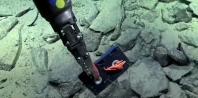 Un robot submarino document� basura humana en el fondo profundo del Mar Argentino por primera vez