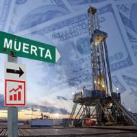 Advierten que los d�lares de Vaca Muerta no alcanzan: el rol de la pol�tica industrial y las lecciones de 3 pa�ses