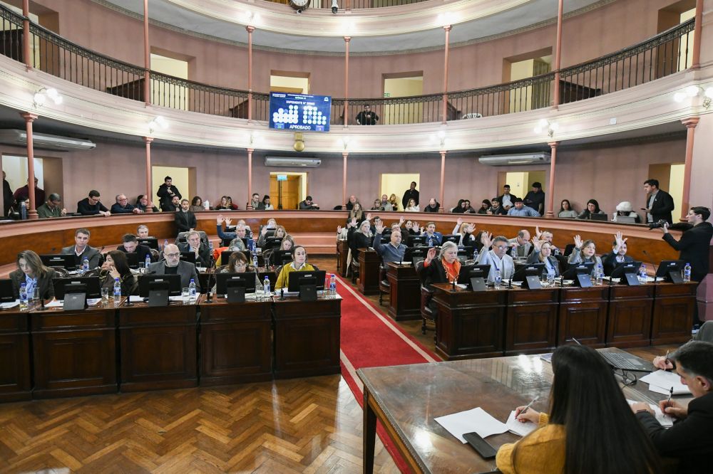 Diputados dio media sanci�n al proyecto de ley de alivio impositivo para el comercio entrerriano