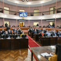 Diputados dio media sanci�n al proyecto de ley de alivio impositivo para el comercio entrerriano