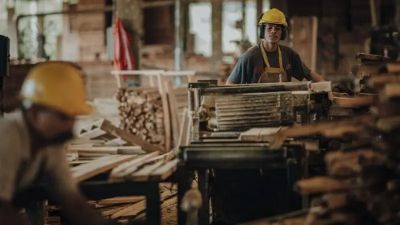 La otra cara del boom agroexportador: 7 de cada 10 ramas de la industria santafesina siguen en ca�da