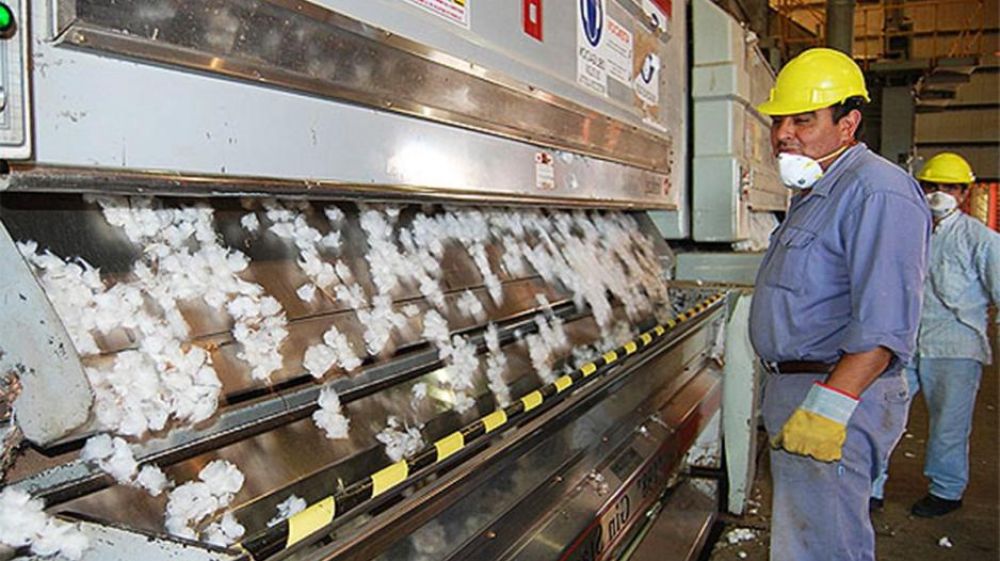Paritaria desmotadora: acuerdo con aumento del 44,5%, bonos de hasta $120.000 y salarios superiores a $2 millones