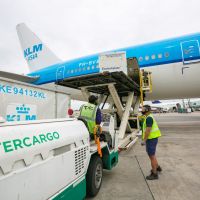 Tras un c�mulo de desaciertos del gobierno, fracas� la privatizaci�n de Intercargo