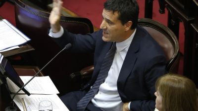 Crece la rebeli�n en el bloque radical contra la ley de tierras de Milei