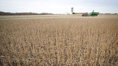 La crisis del campo que Milei no quiere ver: 70% de los productores arrendatarios operan a p�rdida