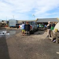 Descontrol en los campos: identifican a 148 personas en un operativo por supuesta explotaci�n laboral