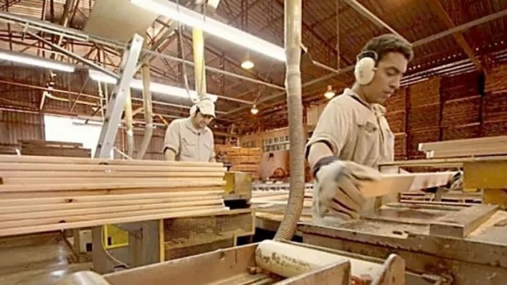 El empleo calificaco en la industria maderera cay� m�s de 8%