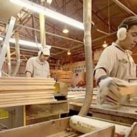 El empleo calificaco en la industria maderera cay� m�s de 8%