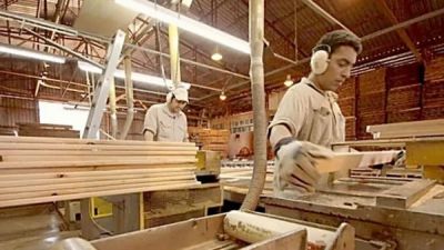 El empleo calificaco en la industria maderera cay� m�s de 8%