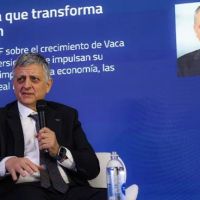 Horacio Mar�n, sobre el proyecto RIGI de YPF: 