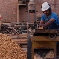 El mapa de la desigualdad: c�mo cambi� el desempe�o productivo de las provincias con Milei