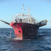 El sindicato de obreros navales rechaz� la incorporaci�n de 18 buques para pesca de calamar, pidi� cuidar la sustentabilidad del recurso y priorizar la industria nacional