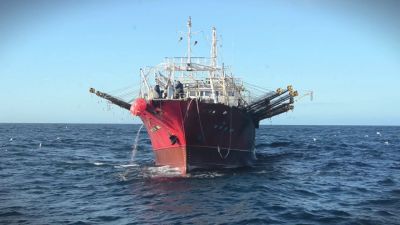El sindicato de obreros navales rechaz� la incorporaci�n de 18 buques para pesca de calamar, pidi� cuidar la sustentabilidad del recurso y priorizar la industria nacional