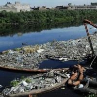 Acumar aprob� un plan integral de reforestaci�n para la Cuenca Matanza Riachuelo