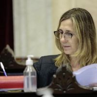 Diputados lanzan proyecto de ley para alinear el salario m�nimo con la canasta b�sica
