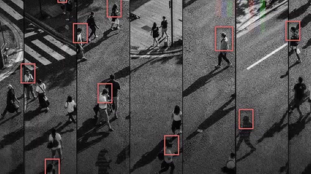 �Hay pr�cticas tecnoautoritarias en la Argentina�: revelan c�mo Milei reforz� la videovigilancia y el control de datos