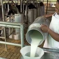 El ajuste tambi�n lleg� al campo: los trabajadores producen los alimentos que ya no pueden comprar
