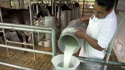 El ajuste tambi�n lleg� al campo: los trabajadores producen los alimentos que ya no pueden comprar