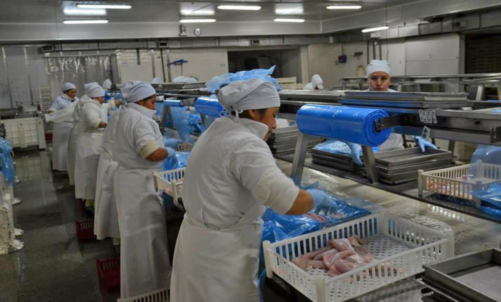 Disputa sindical del rubro alimentos pesqueros en Santa Cruz: el SITFAL lanz� una campa�a de afiliaci�n y el STIA respondi� con acusaciones de �fraude�