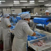 Disputa sindical del rubro alimentos pesqueros en Santa Cruz: el SITFAL lanz� una campa�a de afiliaci�n y el STIA respondi� con acusaciones de �fraude�