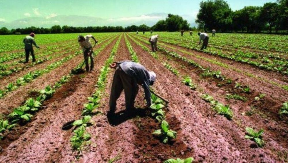UATRE reclam� la continuidad de un beneficio que el Gobierno podr�a cortar a partir de septiembre
