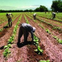 UATRE reclam� la continuidad de un beneficio que el Gobierno podr�a cortar a partir de septiembre