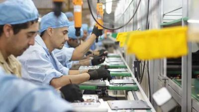 La UBA registr� que se perdieron 241.000 empleos formales privados y que el salario m�nimo cay� 40,5% en la Era Milei