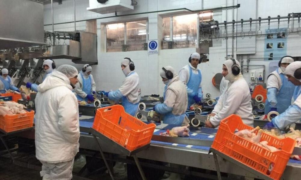 Granja Tres Arroyos: la av�cola m�s grande del pa�s suspendi� su producci�n y los trabajadores denuncian vaciamiento